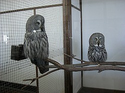CIMG0120.jpg CIMG0120.jpg