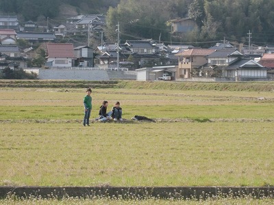 529.jpg