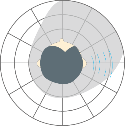 片耳の聞こえの範囲