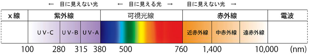 光波長グラフ