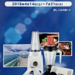 ルティーナキャンペーン