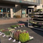 Thumbnail of related posts 098