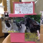 Thumbnail of related posts 189