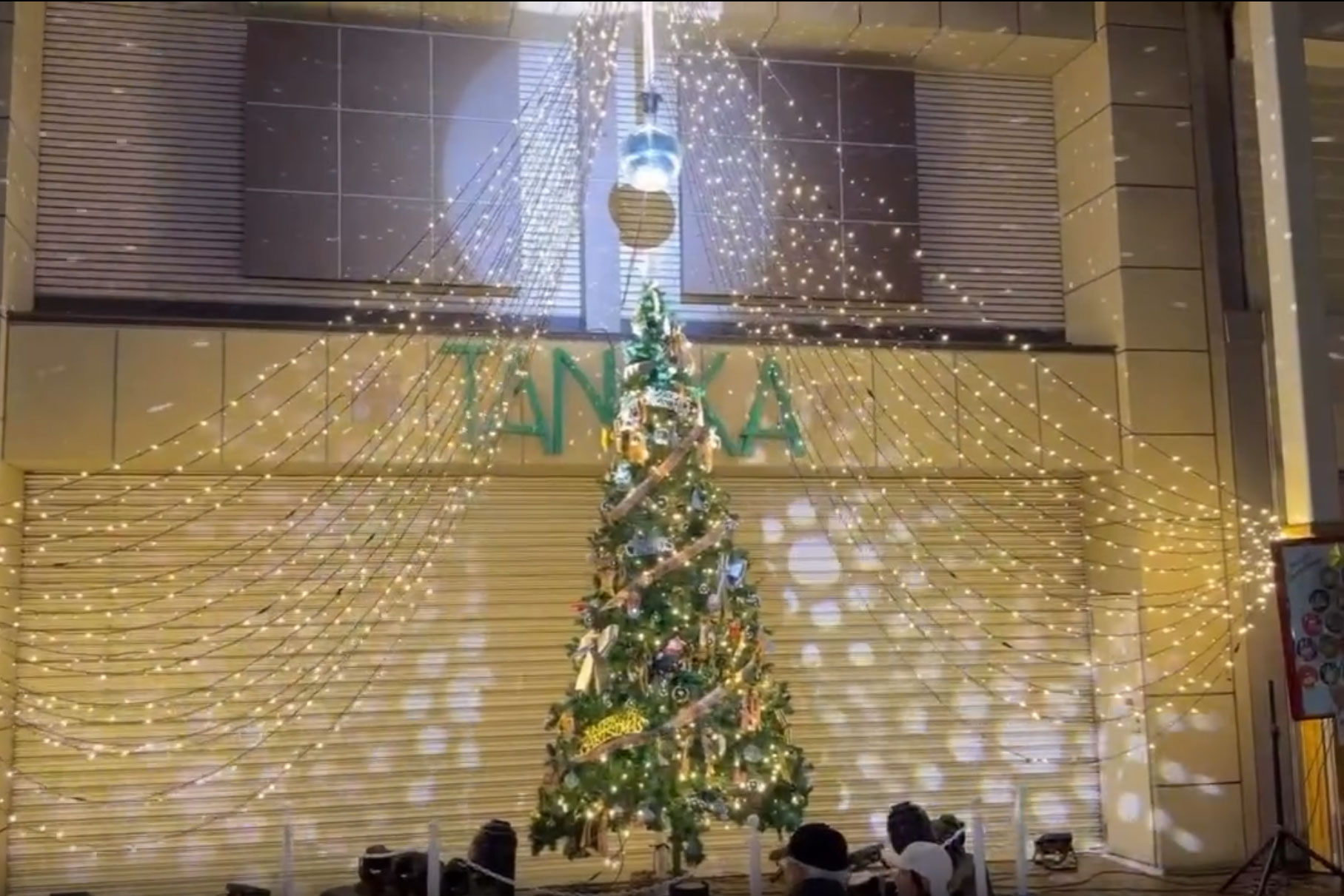 メガネのカメイ本店前にてクリスマスツリー点灯してます